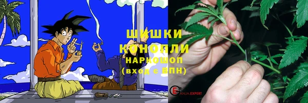 прущий лед Гусев