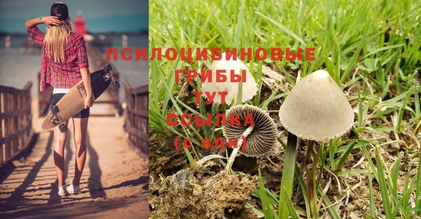 mdpv Снежногорск