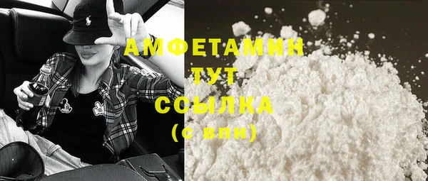 ПСИЛОЦИБИНОВЫЕ ГРИБЫ Слюдянка