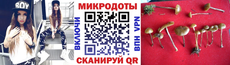 закладки  Ростов  Галлюциногенные грибы мицелий 