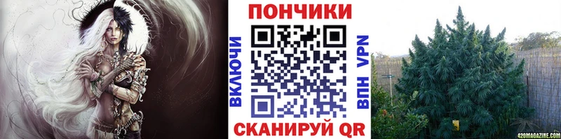 Бошки марихуана SATIVA & INDICA  как найти   Ростов 